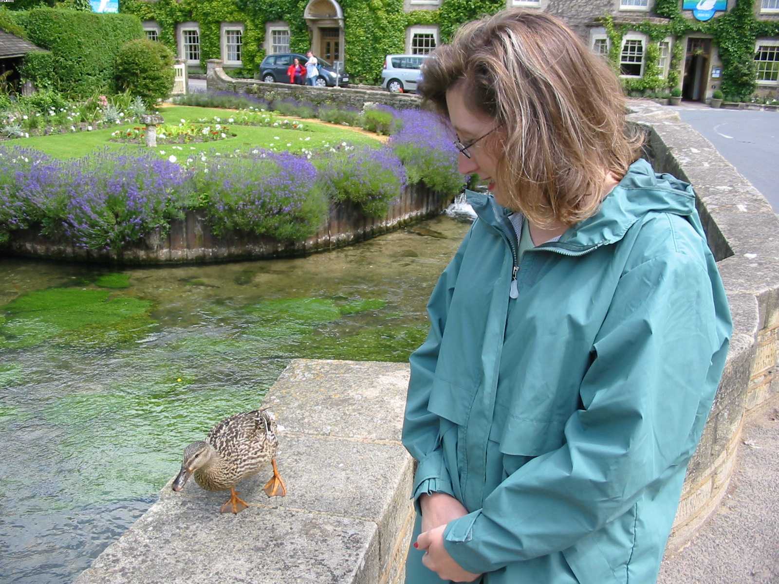 Ronda's friend, the duck.