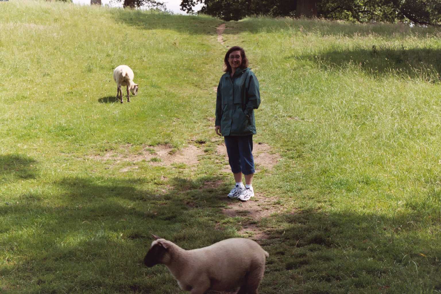 Warden's Way walk in the Cotswolds.